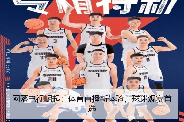 网落电视崛起：体育直播新体验，球迷观赛首选