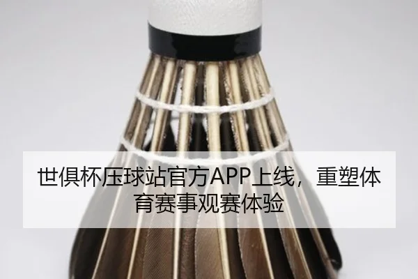 世俱杯压球站官方APP上线，重塑体育赛事观赛体验