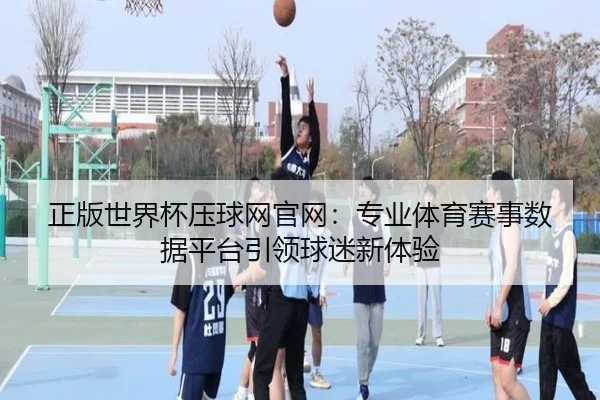 正版世界杯压球网官网：专业体育赛事数据平台引领球迷新体验